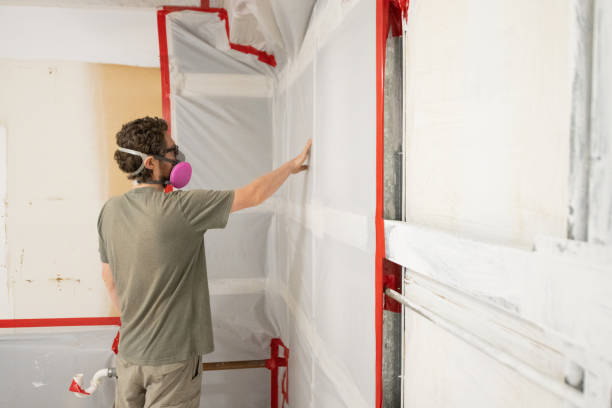 Mold Remediation for Rental Properties in Middleborough Center, MA